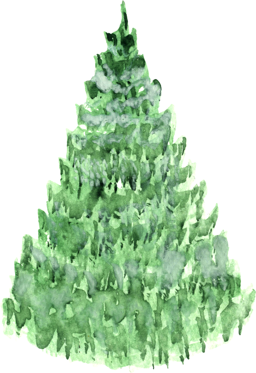 Watercolor fir tree